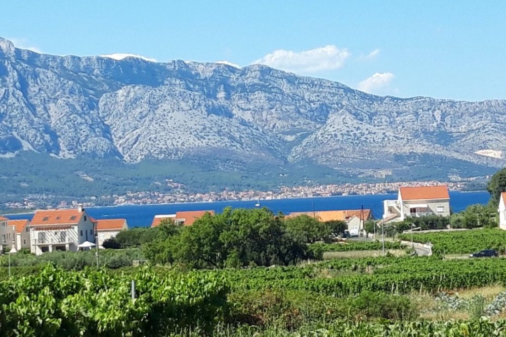 Vineyards and a coastal village beneath the mountains